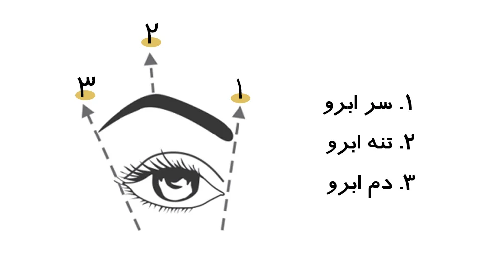 ساختار ابرو